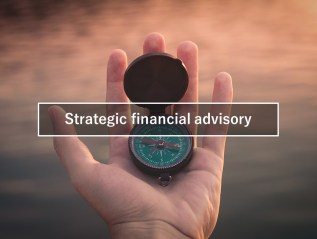 Strategic financial advisory