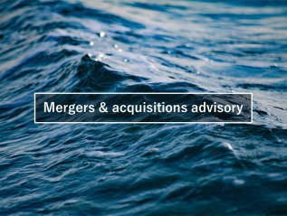 Merger & acquisition&nbsp;advisory